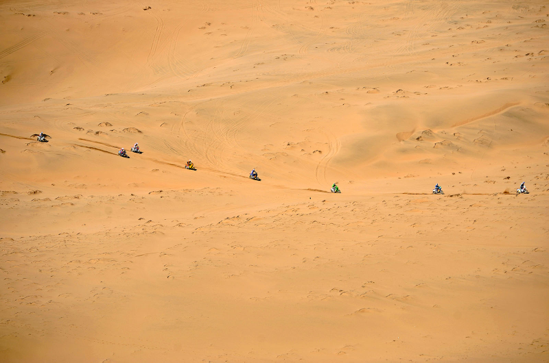 Illustration for article titled Gallery: 2010 Dakar Rally Argentina